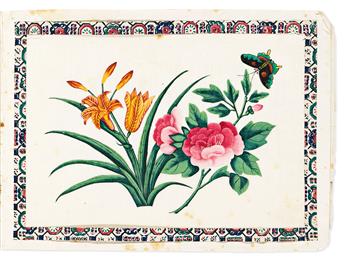 (CHINA TRADE -- BOTANICAL.) Album of 12 mounted trade watercolors on pith paper.